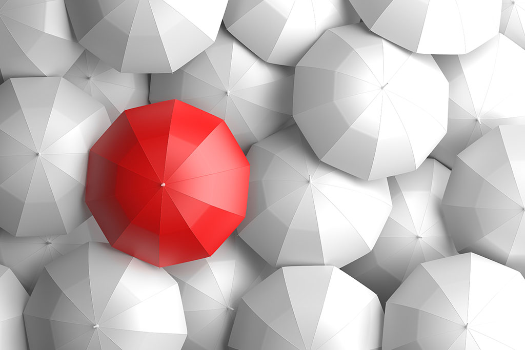 Rule of Law umbrella protections